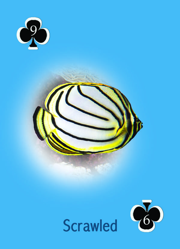 Playing Card - Angel Fish & Butterfly Fish 9 Clubs