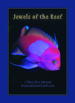 Playing Card - Jewels Of The Reef Back